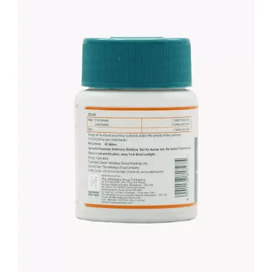 White pill bottle with a blue cap on a white background