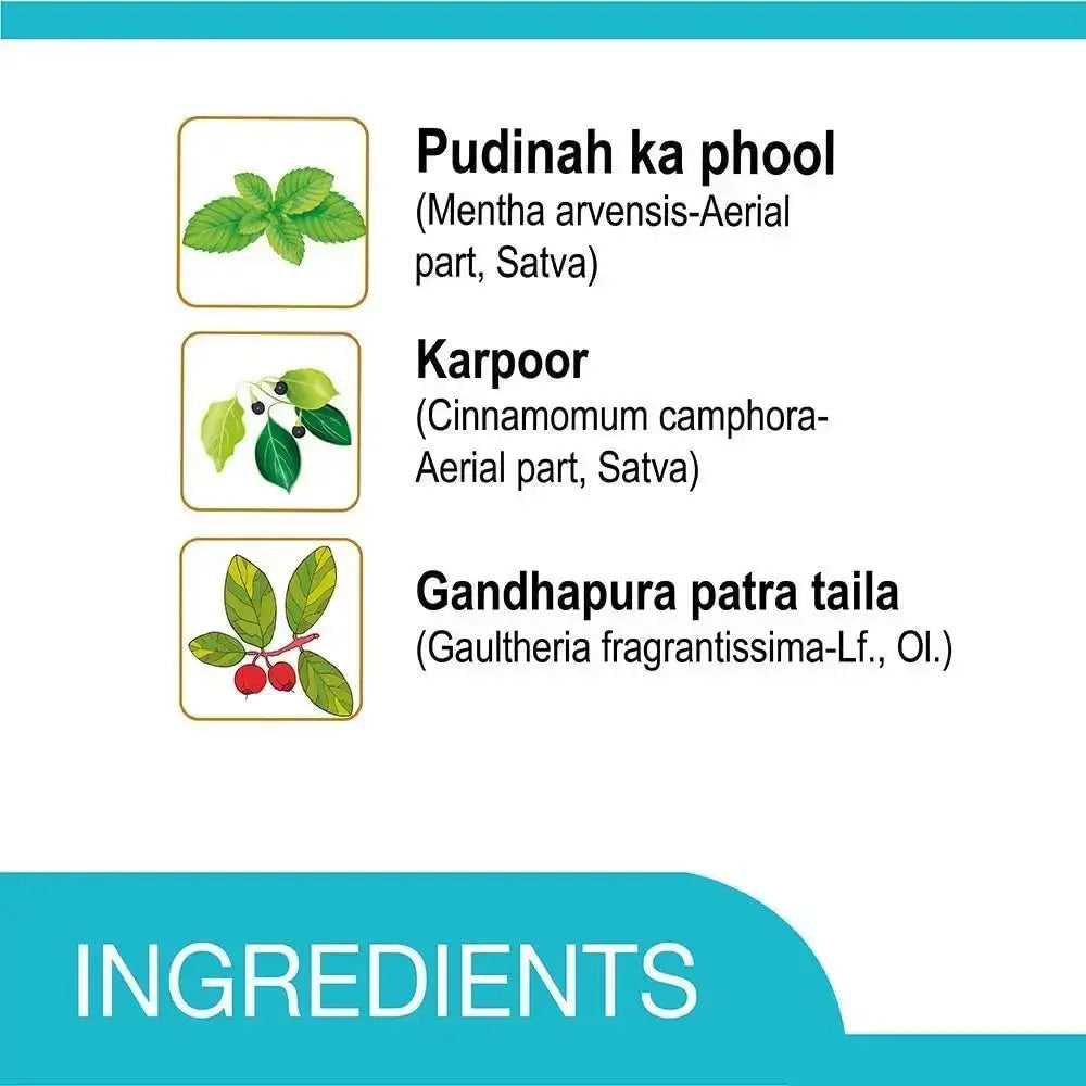 Amrutanjan Back Pain Roll-On – 50ml Each (Pack of 2) | Fast Relief from Back, Muscle & Joint Pain USA Wholesale Trade